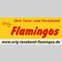 Tanz/ Partyband orig. Flamingos