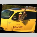 Mellow Yellow