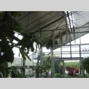 Orchideenhaus