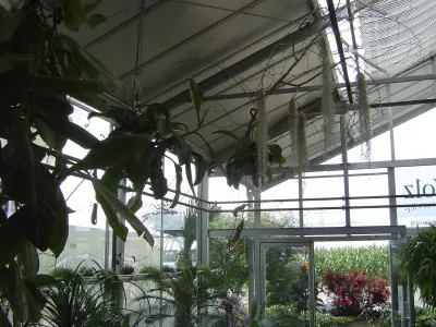 Orchideenhaus